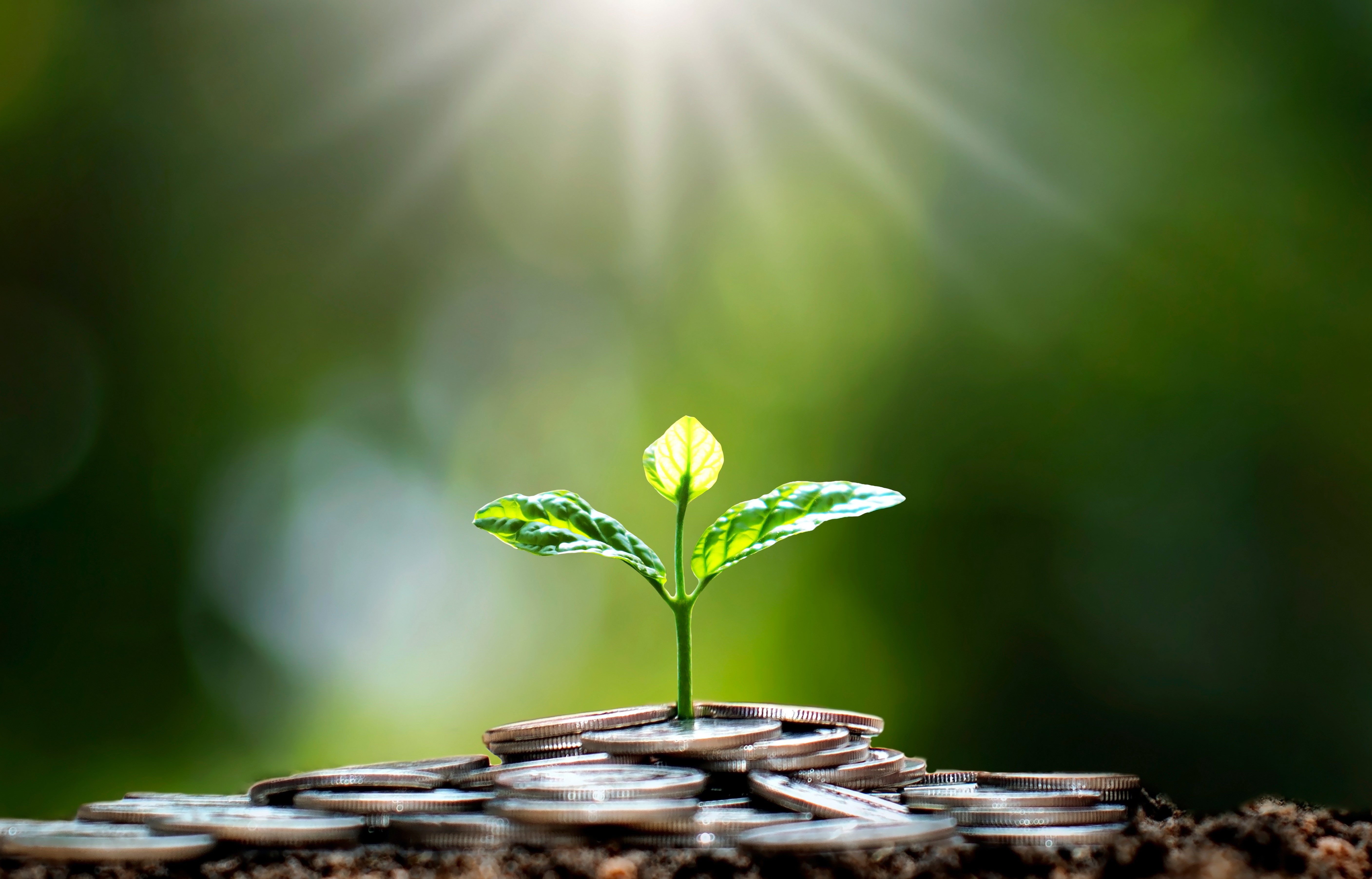 ESG impact seed funding