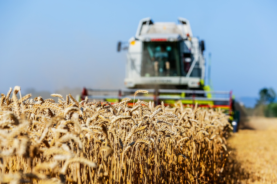 a tractor in a field of wheat